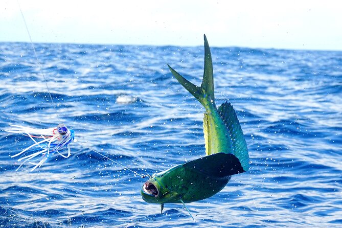 1/2 Day 5 Hour Offshore Fishing Charter - Value Check: What $175.72 Really Buys You
