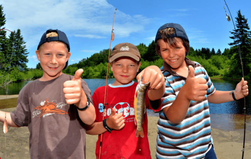 15 min. Tadoussac : Trout Fishing Experience - The Quick 10-Minute Walk To The Fishing Pond