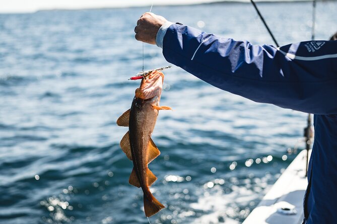 2 Hour Fishing Experience in Halifax - The Main Act: Fishing Off Halifax and Why the Captain’s Spotting Skills Matter