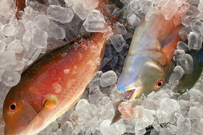 3/4 Day 7 Hour Offshore Fishing Charter - The food, the fish cleaning, and why it’s a big value win