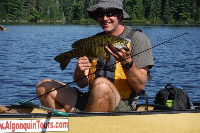 3 Hour Algonquin Park Bass & Trout Fishing (private- price is for 1 or 2 people) - Algonquin at 7:00am: quiet water, fewer headaches