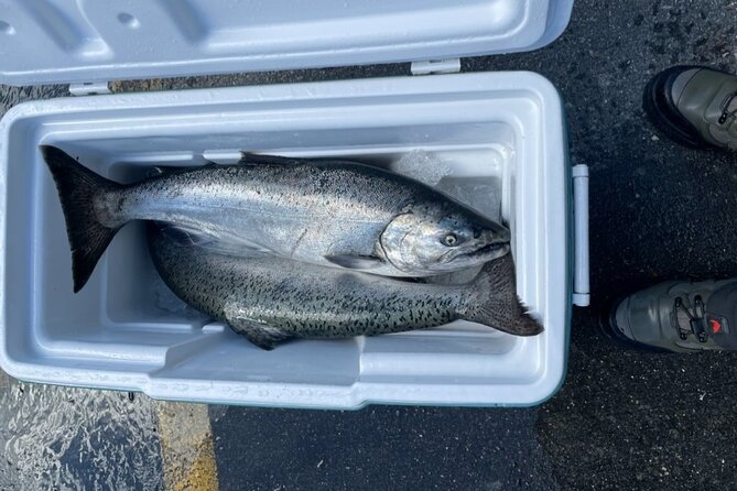 3 Hour Fishing Experience/Class in Juneau - Snacks, Water, and Timing: Don’t Underestimate the Energy Part