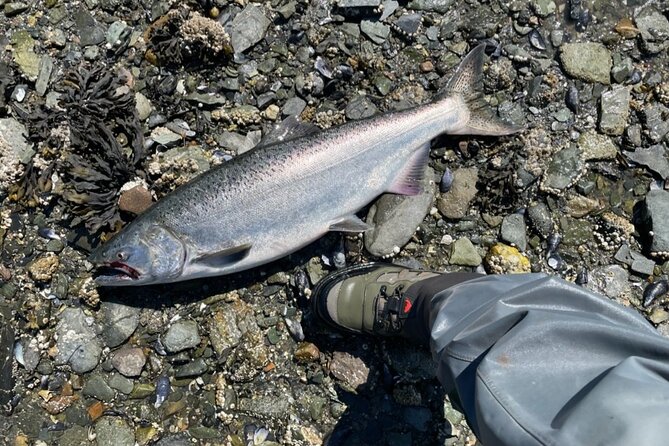 3 Hour Fishing Experience/Class in Juneau - Fishing License Included: One Less Thing to Worry About