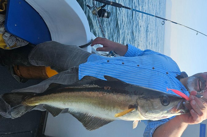 3 Hour Fishing or Sightseeing Charter - Fishing lessons that actually help first-timers