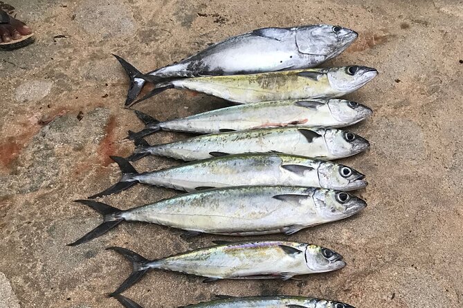 3-Hour Fishing Trip in Waikiki - Key things I’d watch for