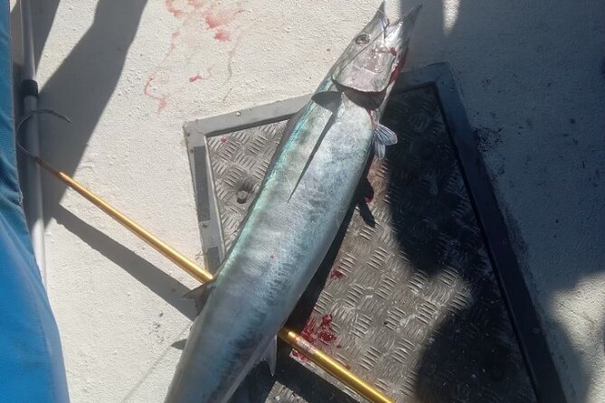 3-Hour Fishing Trip in Waikiki - Fishing Reality Check: Catch Rates Vary by Day