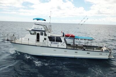 3-Hour Honolulu Bottom Fishing Adventure - A 3-Hour Ride That Combines Motion and Fishing Time