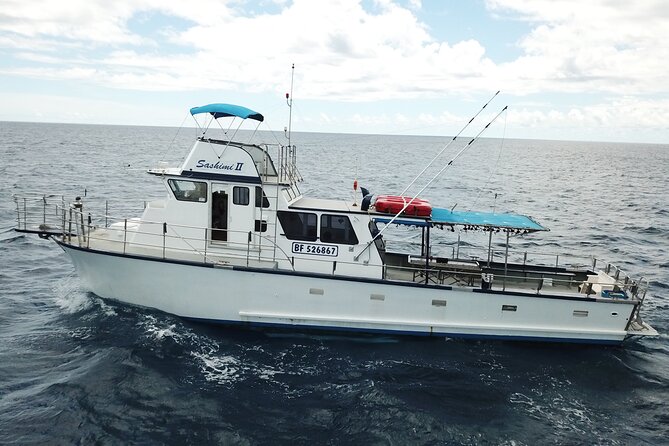 3-Hour Honolulu Bottom Fishing Adventure - A 3-Hour Ride That Combines Motion and Fishing Time