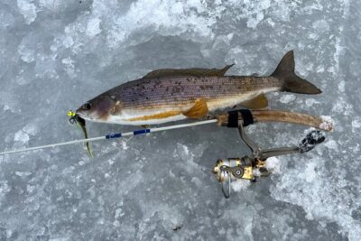 3 Hour Ice Fishing Experience - Warmth and timing: heated hut plus hot drinks