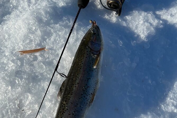 3 Hour Ice Fishing Experience - Price and value at $145 per person
