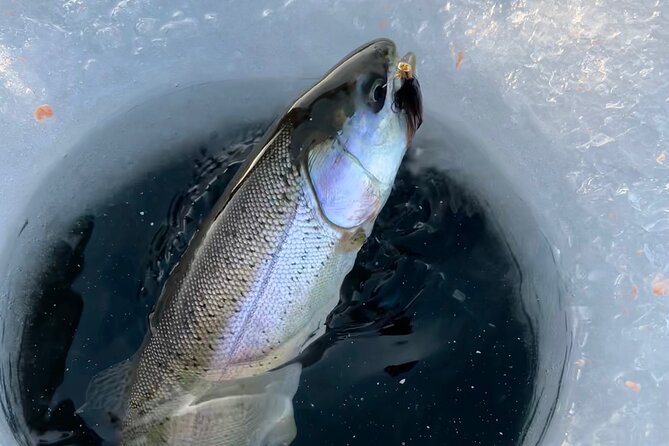 3 Hour Ice Fishing Experience - Small-group energy: why max 8 feels better