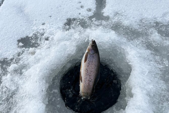 3 Hour Ice Fishing Experience - When things go wrong: weather, meeting time, and fish silence