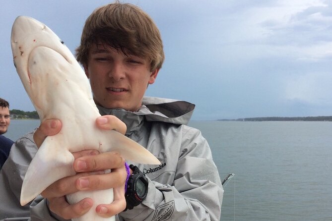 3 Hour Inshore Shark Fishing Trip in Hilton Head Island - Catch-and-Release Runs Better When You Listen to the Captain