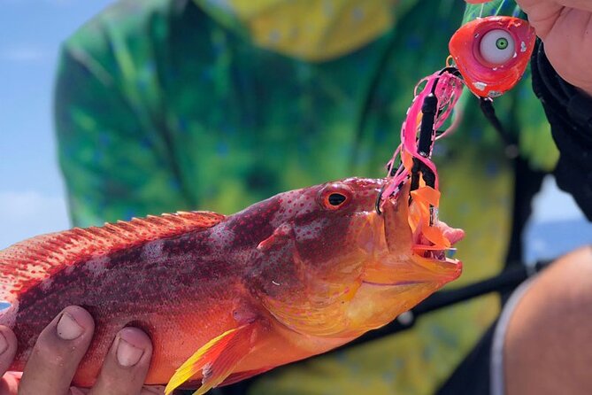 4 Hour Ariki Fishing Activity in Moorea - Bird chase and fish spotting: what you’re doing before you fish