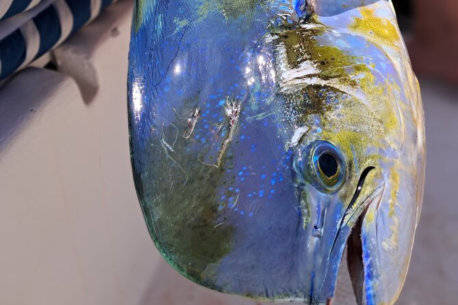 4 Hour Costa Maya Fishing and Snorkeling Experience - Costa Maya fishing plus reef snorkeling: what makes this combo work