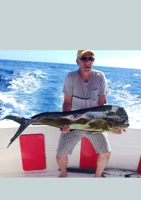 4 hour deep sea fishing experience from punta cana - Key things I’d know before booking