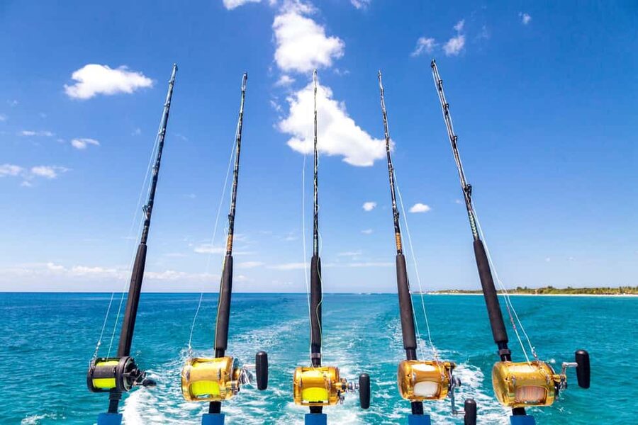 4 hour deep sea fishing experience from punta cana - On the water with trolling: how the fishing actually works