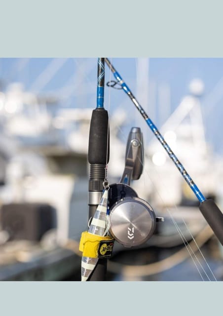 4 hour deep sea fishing experience from punta cana - Who should book this Punta Cana trolling trip