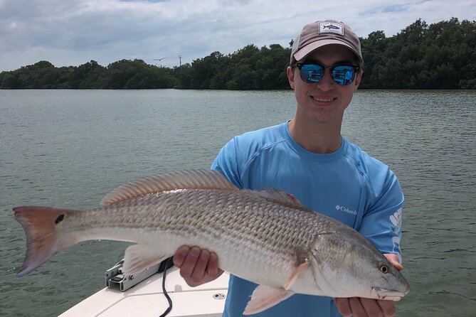 4-Hour Private Inshore Fishing Trip in Sarasota - The Inshore Game Plan: How These Targets Actually Shape the Day