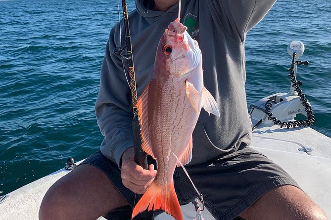 4-Hour Private Near-Shore Fishing Charter from Orange Beach - Near-Shore Fishing Off Orange Beach: What Makes It Feel Like a Real Charter