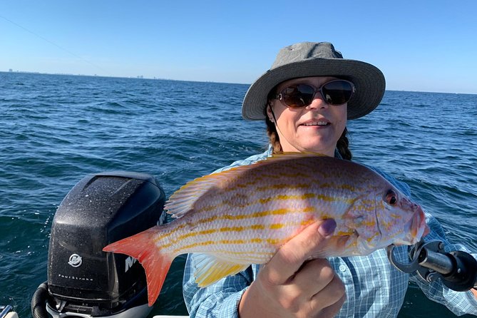 4-Hour Private Near-Shore Fishing Charter from Orange Beach - The 4-Hour Plan: Near-Shore Bottom Fishing on Reefs and Wrecks