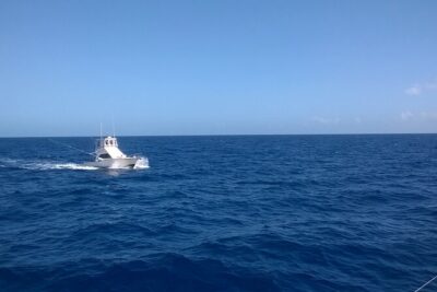 4 Hour Punta Cana Fishing Tour - Getting onboard: the first half hour sets your mood