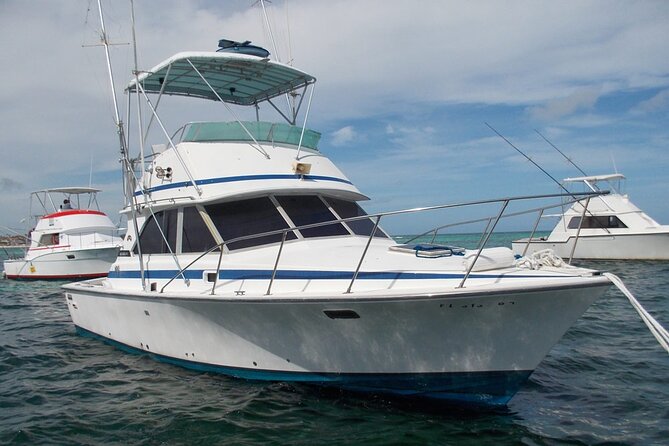 4 Hour Punta Cana Fishing Tour - What you might catch: mahi mahi, wahoo, barracuda, and marlin seasonality
