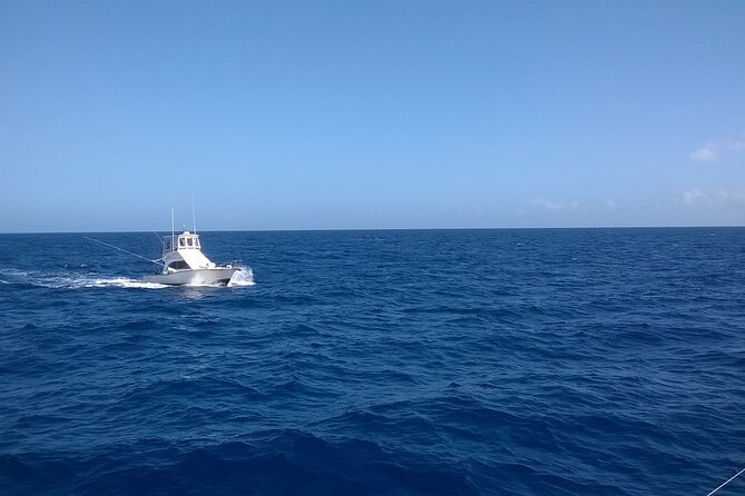 4 Hour Punta Cana Fishing Tour - Getting onboard: the first half hour sets your mood