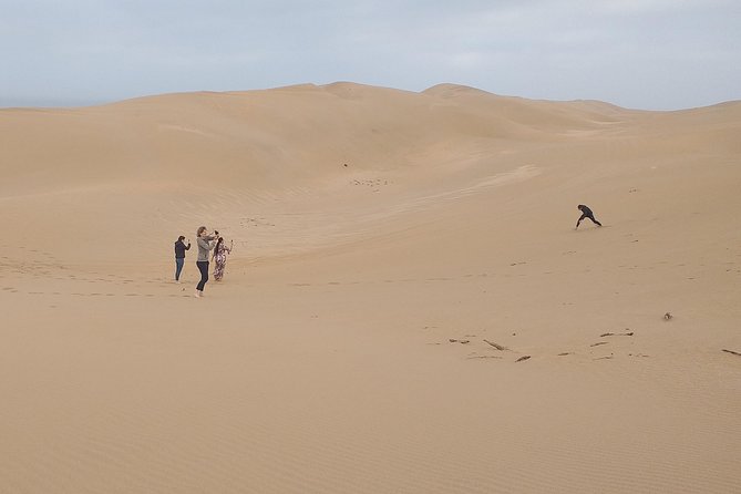 4 hours.Agadir : Trip to Sahara and tifnit fishing village - Private pickup from Agadir to Sahara-style dunes
