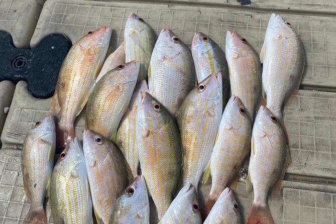 4HR-Halfday Private Fishing Tour in Gracebay - Why a 4-hour private fishing trip fits Grace Bay so well