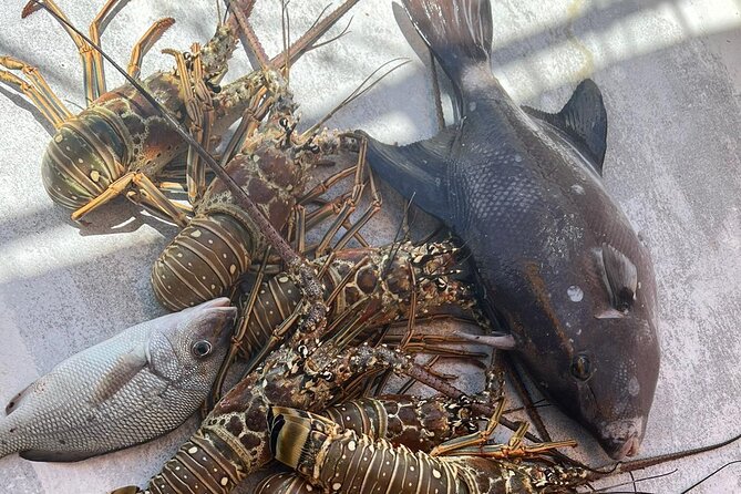 4HR-Halfday Private Fishing Tour in Gracebay - The boat-day feel: crew energy, music, and included comfort