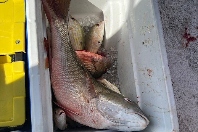 4HR-Halfday Private Fishing Tour in Gracebay - Weather risk and the safety-first reality of private charters