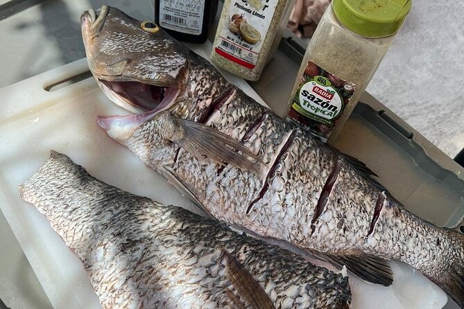 4HR-Halfday Private Fishing Tour in Gracebay - Who this fishing halfday is best for