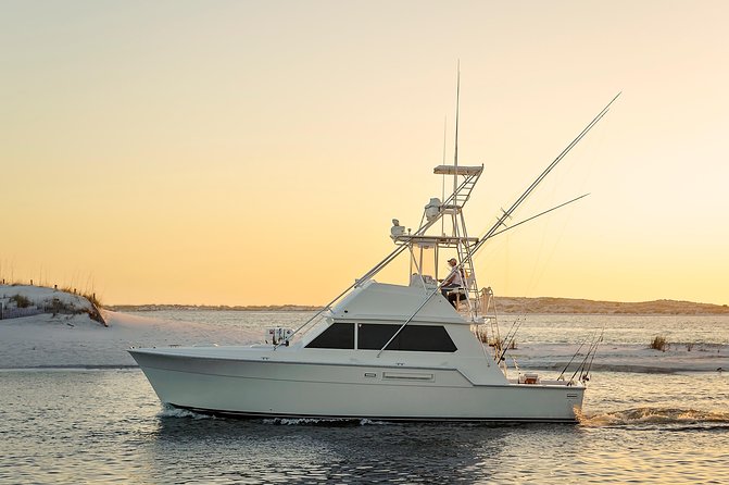 6 Hour Family Fun Fishing Charter on a 42’ Sportfish ,Alibi - Key Things I’d Bet On Before You Book