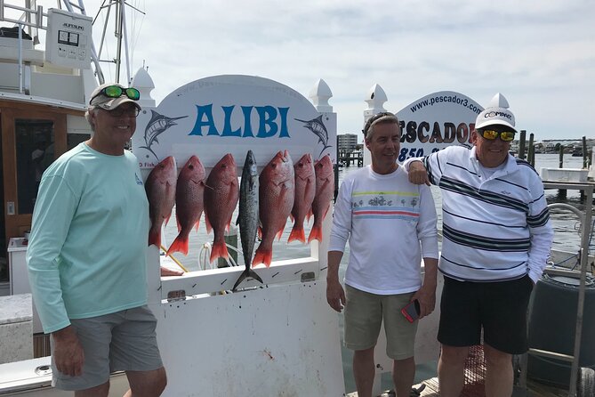6 Hour Family Fun Fishing Charter on a 42’ Sportfish ,Alibi - Gear, Bait, and Fishing License Included: The Stress-Free Part You’re Really Paying For