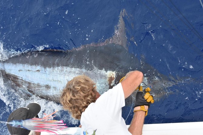 6 Hour Fishing Charter - Key things to know before you cast
