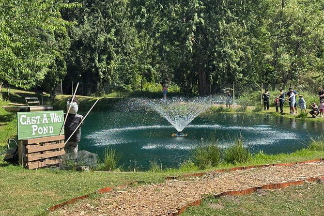 A Relaxing Day of Fishing and Fresh BBQ - The 3-hour trout session: rods, bait, and a low-stress start