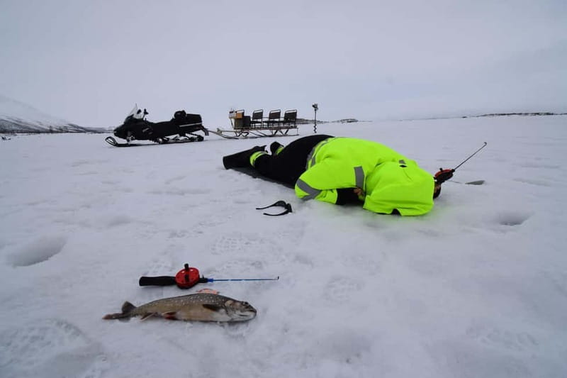 Abisko: Ice Fishing Experience - Why Abisko ice fishing feels so different from normal fishing