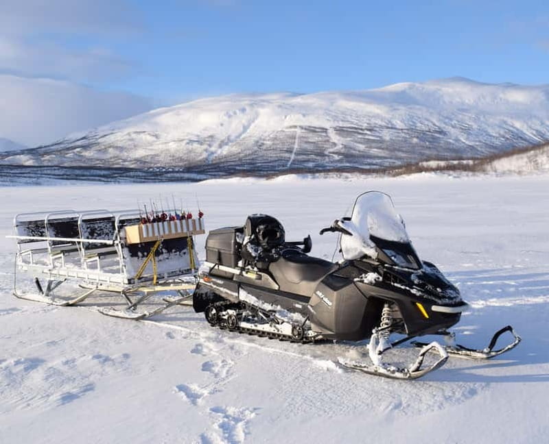 Abisko: Ice Fishing Experience - What you might catch in Abisko: Arctic char, grayling, burbot, and more