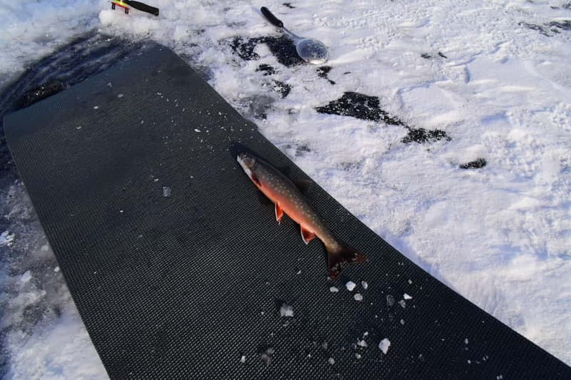 Abisko: Ice Fishing Experience - Price and value: what $99 covers and why it’s not just “a fishing trip”