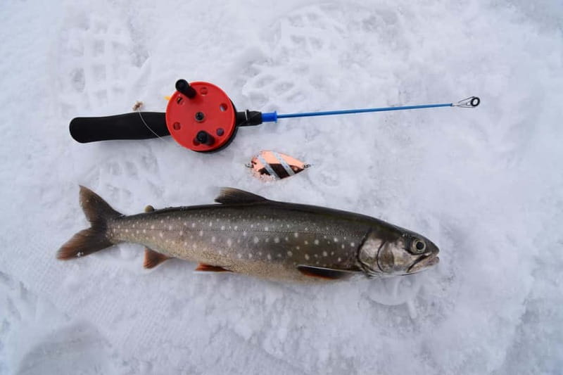 Abisko: Ice Fishing Experience - Who this Abisko ice fishing experience suits best