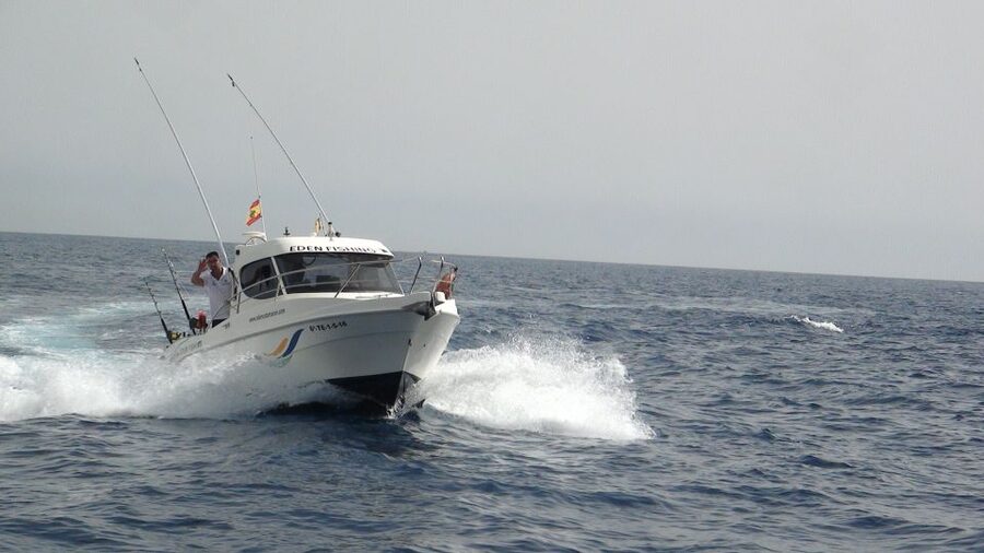 Adeje: 3.5–Hour Professional Fishing Experience - 3.5 Hours at Sea: What This Fishing Trip Feels Like