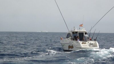 Adeje: 3.5–Hour Professional Fishing Experience - Where You Start: Puerto Colón, Gate 3, and Getting There