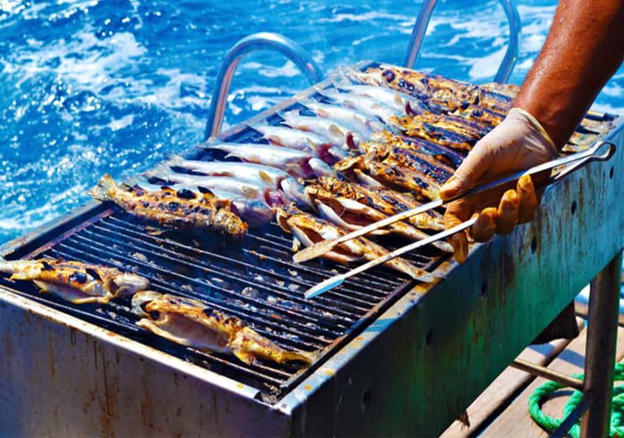 Agadir: Boat Trip with Fishing, Swimming, and BBQ Lunch - Value check: is $56 for a 5-hour Agadir boat trip actually fair?