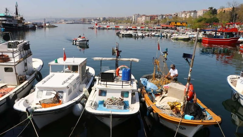 Alanya: Fishing Tour with Lunch and Hotel Transfers - Key Things I’d Focus On