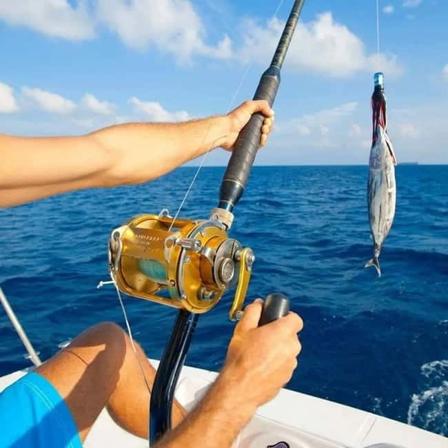 Alanya: Fishing Tour with Lunch and Hotel Transfers - Swimming Breaks: A Chance to Cool Off (Bring the Right Stuff)
