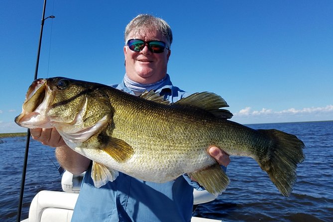 All Day Lake Okeechobee Fishing Trip near Palm Beach - Wildlife time without losing your fishing focus