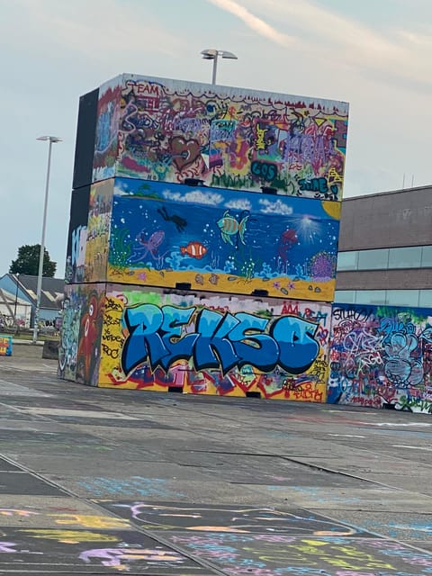 Amsterdam: Urban Bike Tour, Graffiti Art & Magnet Fishing - NDSM Terrain: Street Art Around Old Cranes (Plus a Hands-On Workshop)