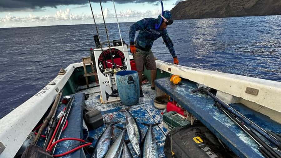 Ancestral fishing: Fishing with an experienced Rapa Nui - Hanga Piko and Ana Kai Tangata: quick context, quick views