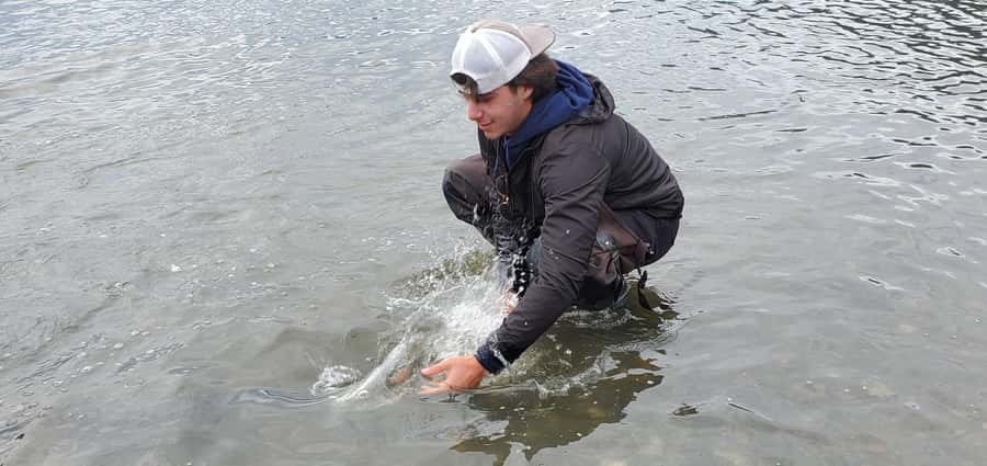 Anchorage: Full-day guided salmon fishing with Hotel Pickup - Anchorage Pickup: The Practical Part (Where Your Day Starts)